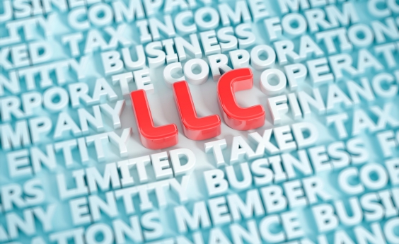 Choosing the Right Business Structure: LLC